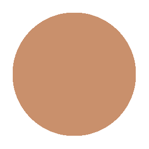 CONTOUR POWDER 6 WELL DARK